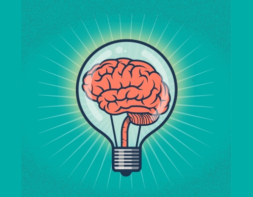 brain